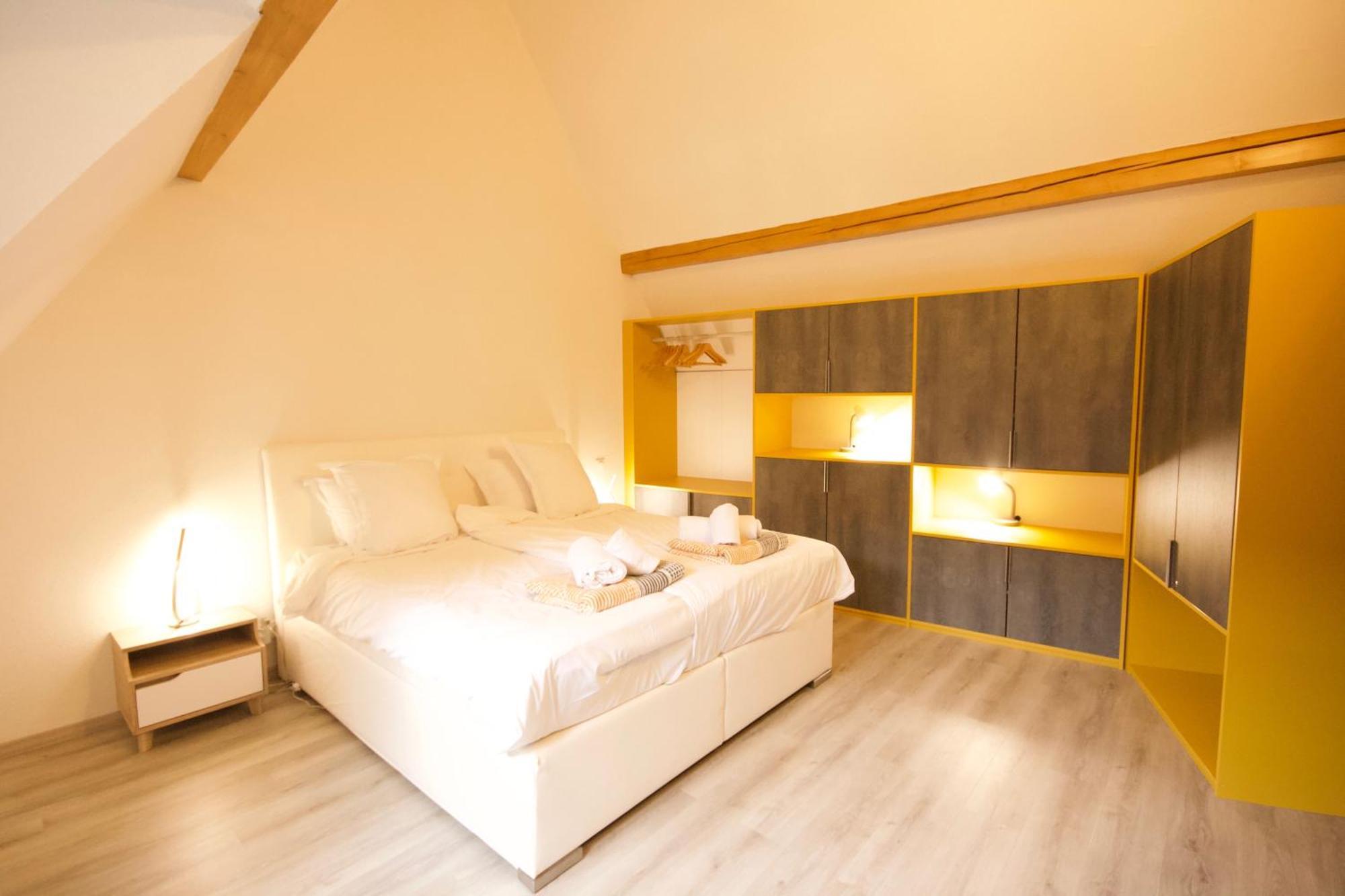 Appartement Le Ch'Ti Alsacien 埃圭斯海姆 外观 照片