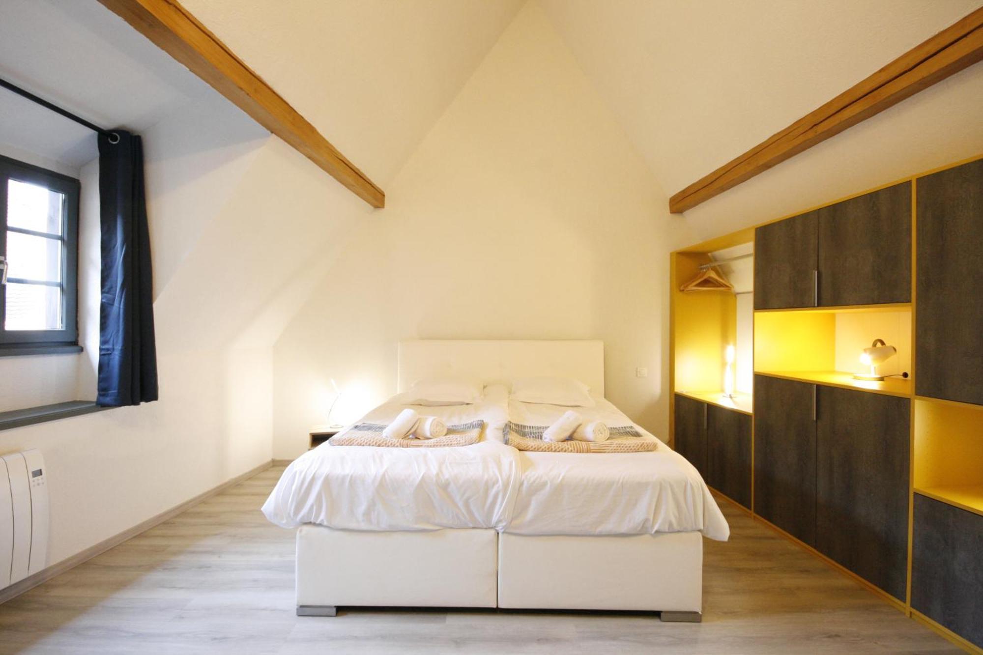 Appartement Le Ch'Ti Alsacien 埃圭斯海姆 外观 照片