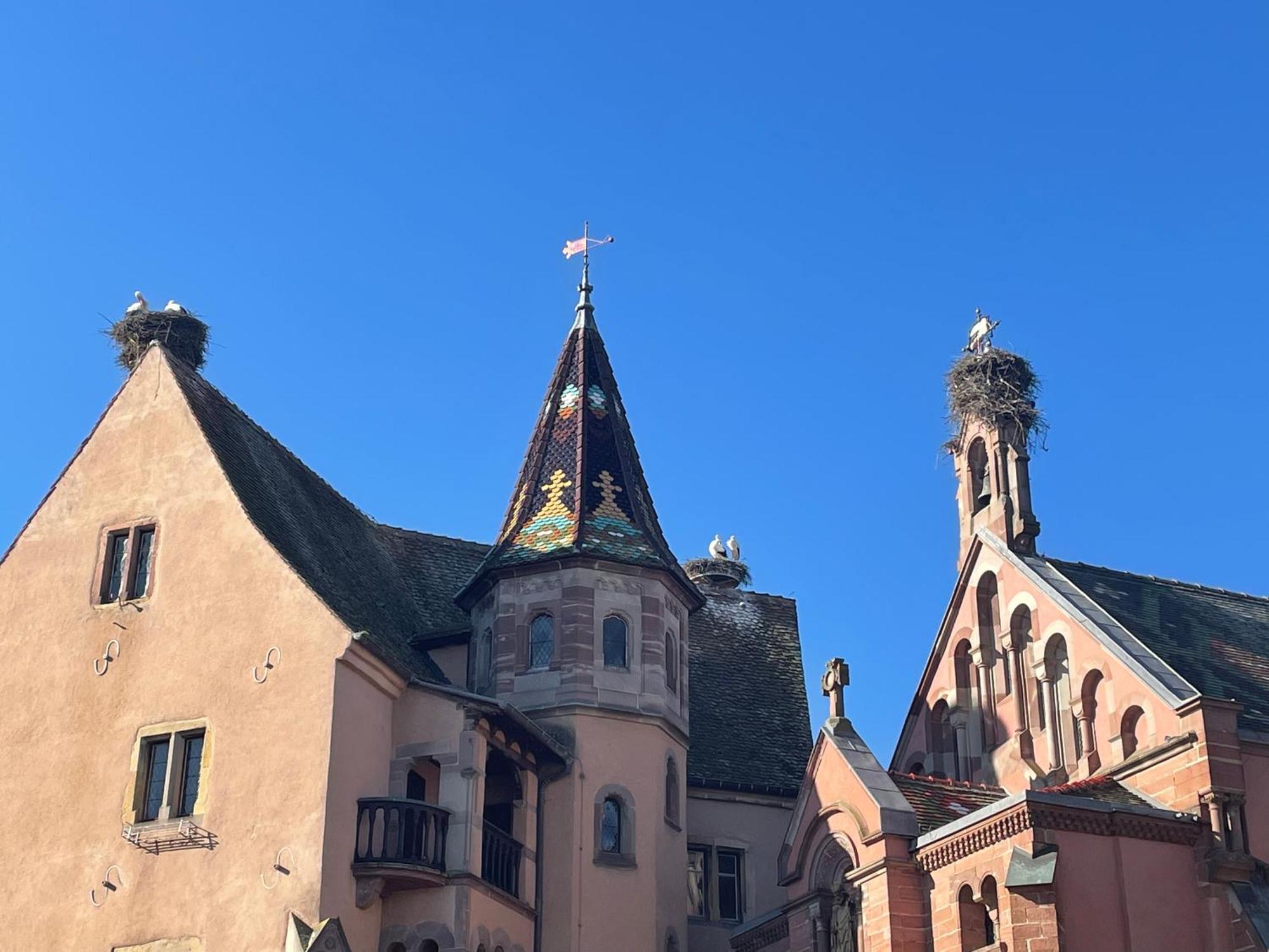Appartement Le Ch'Ti Alsacien 埃圭斯海姆 外观 照片